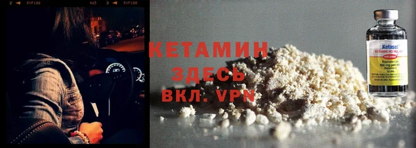 индика Туринск