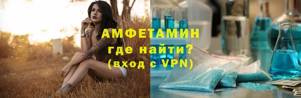 индика Туринск