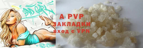 индика Туринск