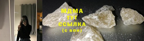 индика Туринск