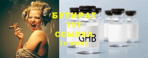 индика Туринск