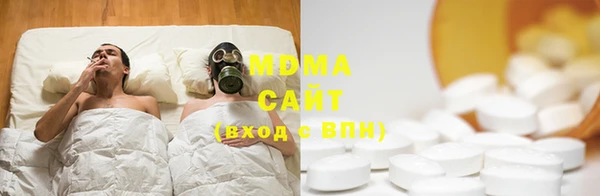 индика Туринск