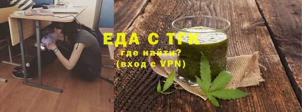 индика Туринск