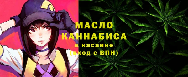 индика Туринск