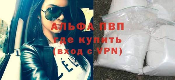 индика Туринск