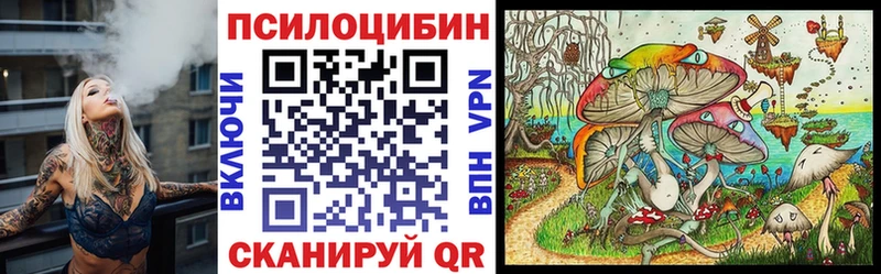 где купить наркоту  кракен ONION  Галлюциногенные грибы Psilocybine cubensis  Химки 